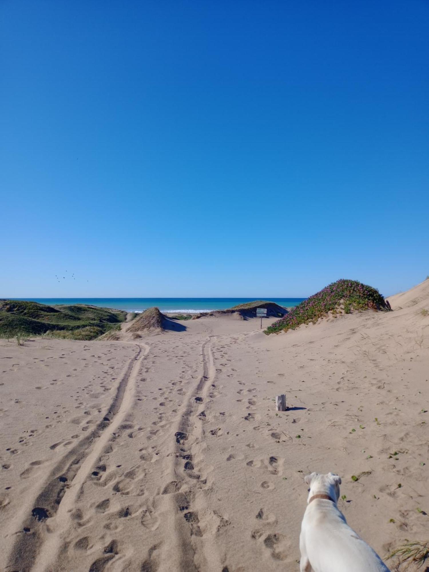 Foresta Acantilados, Casa Container Y Cabana De Troncos Mar del Plata Exterior foto