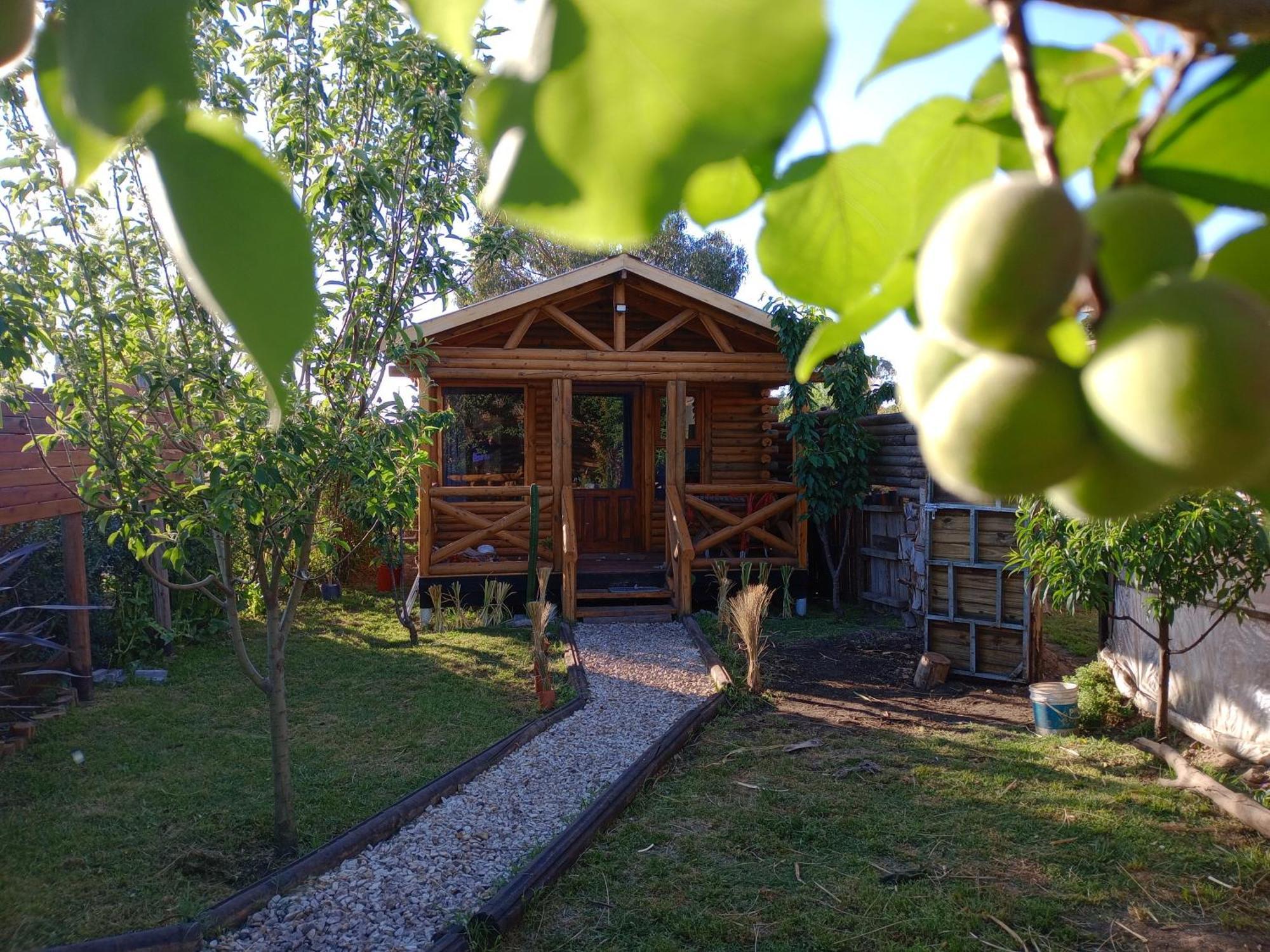 Foresta Acantilados, Casa Container Y Cabana De Troncos Mar del Plata Exterior foto